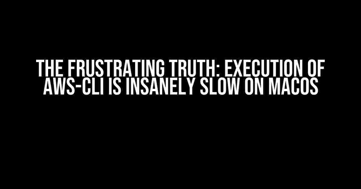 The Frustrating Truth: Execution of aws-cli is Insanely Slow on MacOS